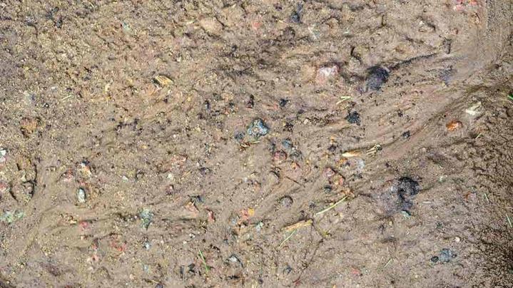 Service d'entretien paysager Granby