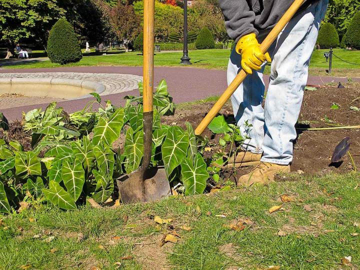 Service d'entretien paysager Granby